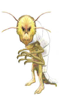 objectmale.jpg (108433 bytes)